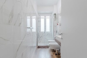 Shower, hair dryer, bidet, towels