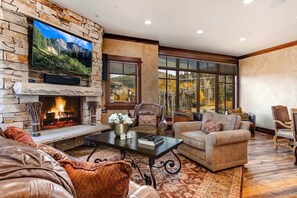 TV, fireplace, offices