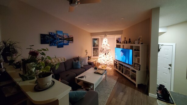 A living room with a sofa, coffee table, TV, and a ceiling fan. - For a professional Room in NW Calgary (Calgary)