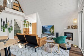 Smart TV, fireplace, books