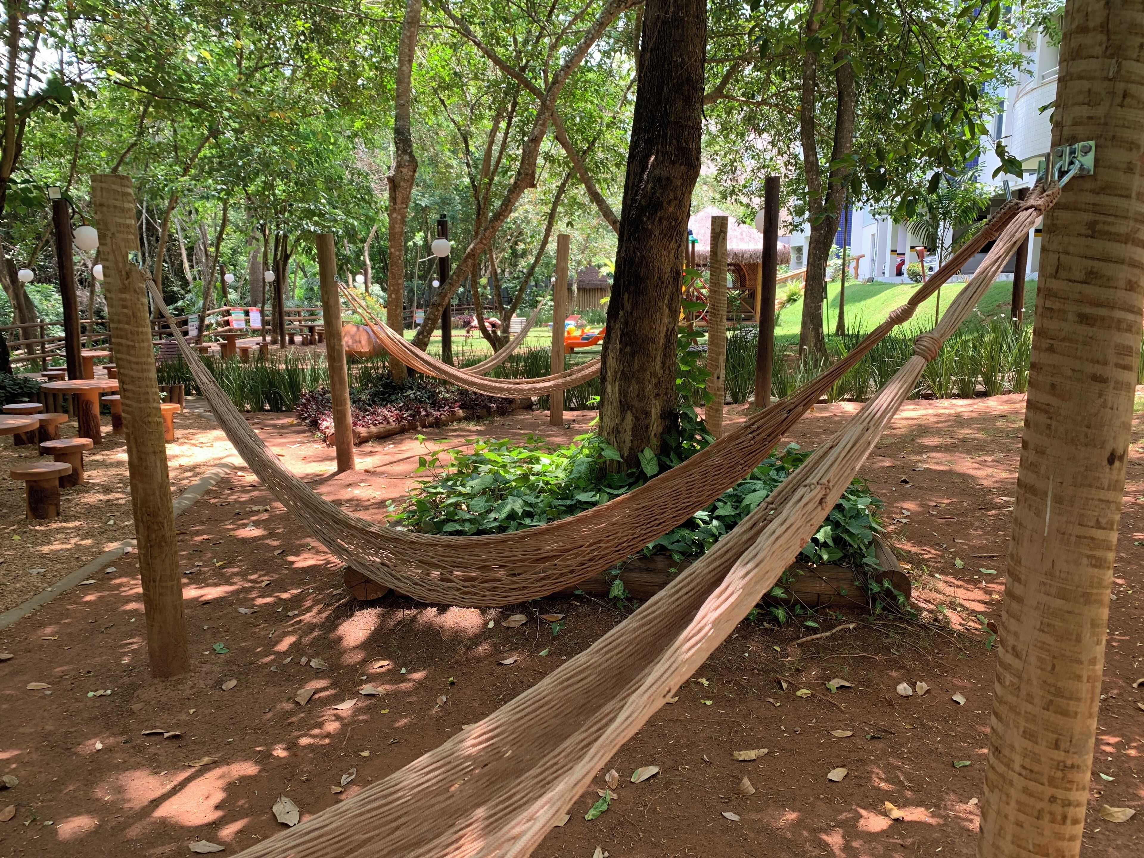 Área da propriedade