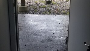 Una puerta que da a un espacio exterior cubierto con piso de concreto, una escalera metálica y vistas a un patio con césped, un muro de piedra y un edificio al fondo.