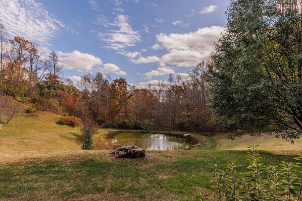 A serene landscape with a pond surrounded by trees and grass.