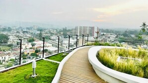 Un sendero curvo de madera en un jardín en la azotea, con un paisaje urbano al fondo.