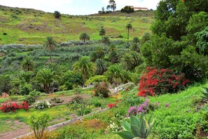 Stroll through this serene garden, surrounded by lush tropical plants and vibrant flowering shrubs.