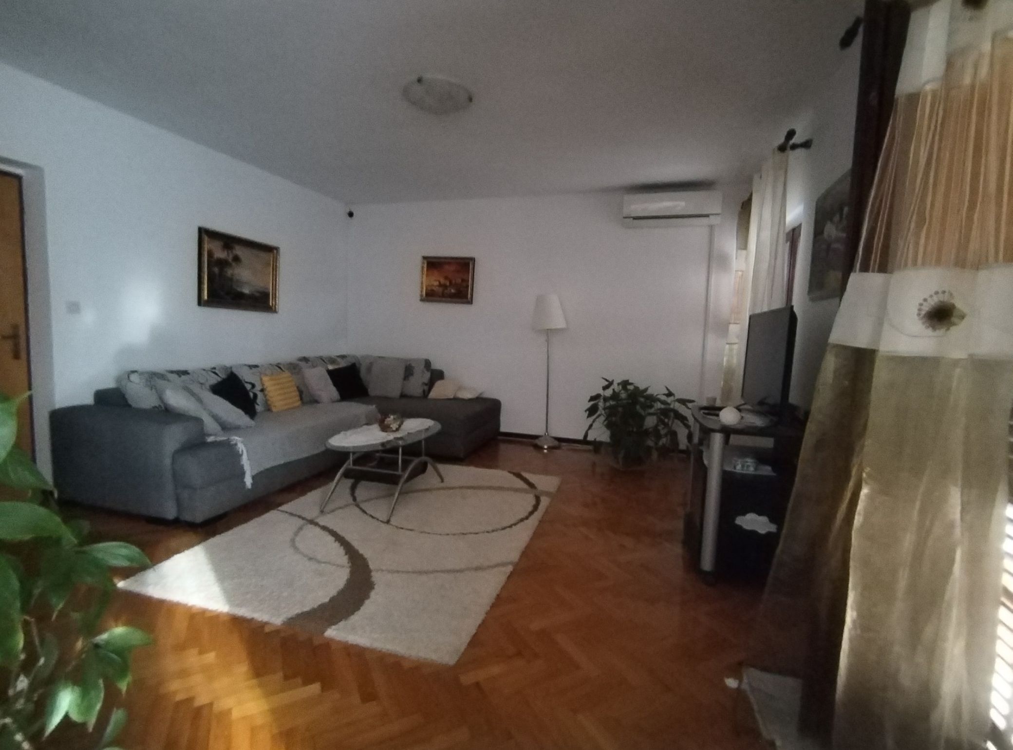 A living room with a grey sofa, a small round table, a potted plant, and a TV stand.