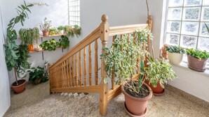A staircase with a wooden handrail, surrounded by potted plants on shelves and the floor. - Charming Trogir Apartments With Balcony (Trogir)