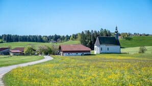 A rural landscape with a white church, a red-roofed barn, and a road curving through a field of yellow flowers.