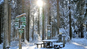 A snow-covered forest with directional signs and a bench area. - Apartment 'Tannenblick 3-2' with Shared Garden, Balcony and Wi-Fi (Oberhof)