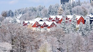 Un grupo de edificios rojos con árboles nevados en primer plano, rodeados de un área boscosa.