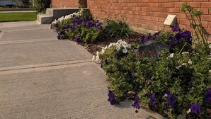A brick building with a covered porch and a flower bed with purple and white flowers. - Beautiful home in Idaho Falls (Idaho Falls)