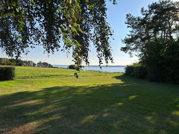A grassy field with a view of a body of water and trees in the background.