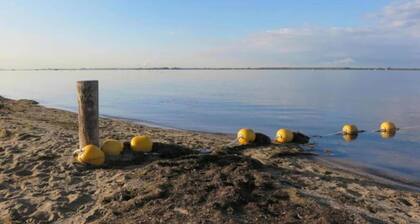 Bungalow in Zuytland with Private Fishing Jetty