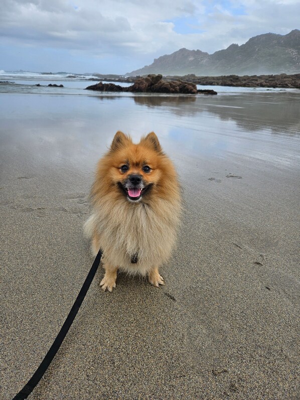 Shared Dormitory, 1 Bedroom, Balcony, City View | Beach - Room in Apartment - Beautiful and Large Room in The City Centre (Valladolid)