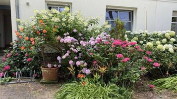 House | Bahagian luar