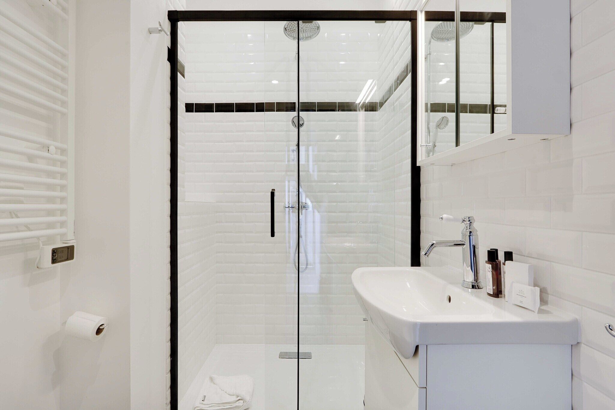Une salle de bain moderne avec une douche à l’italienne, un lavabo blanc et un grand miroir.