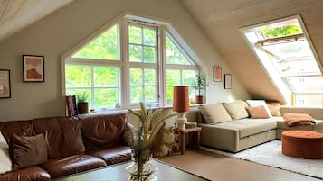 Televisión, chimenea, videojuegos y reproductor de DVD