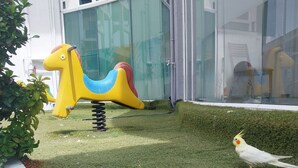 Un parque infantil con un tobogán amarillo y azul, un pájaro en el césped y otro pájaro blanco cerca.