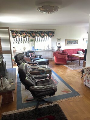 Smart TV, fireplace, books