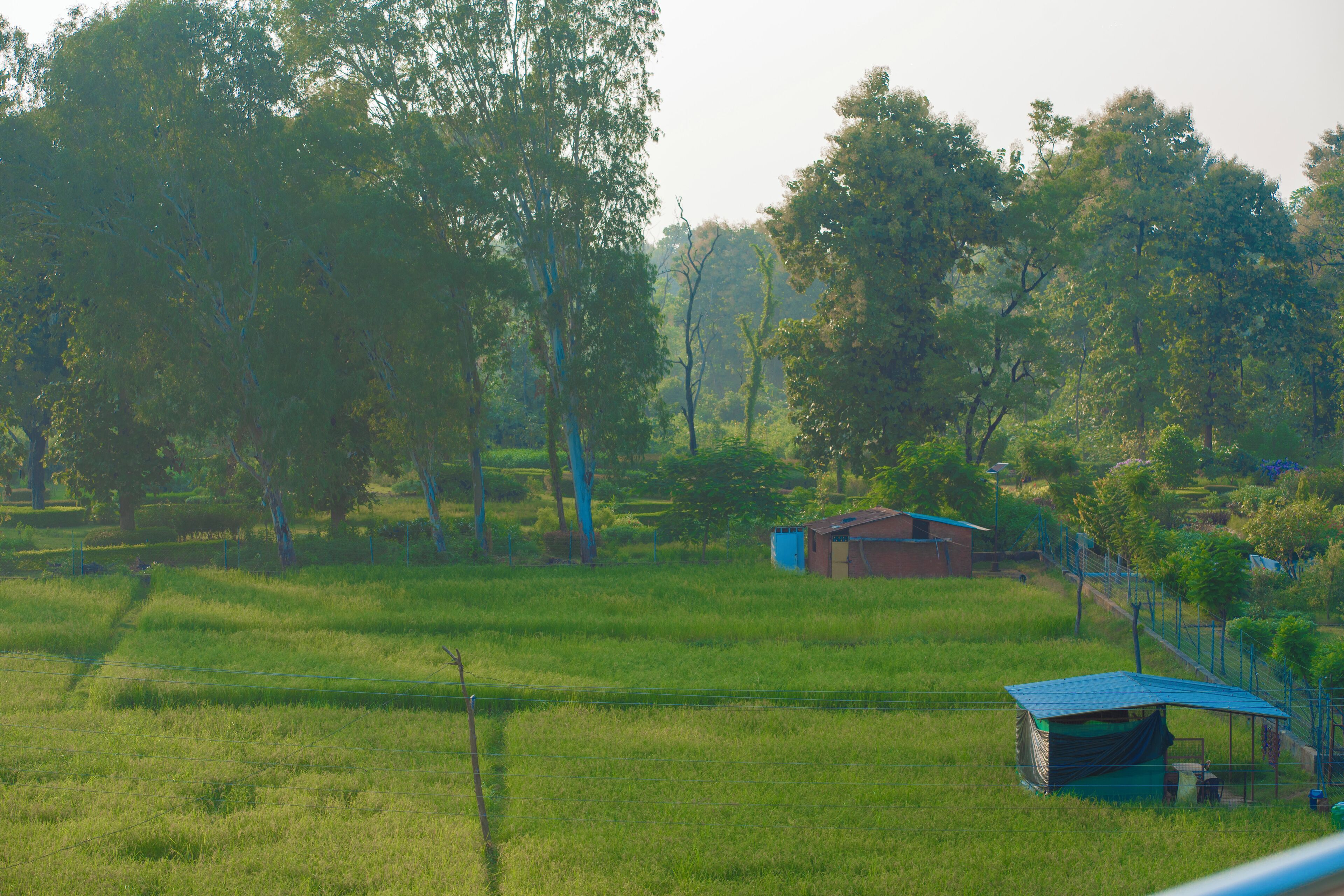 Land view from property