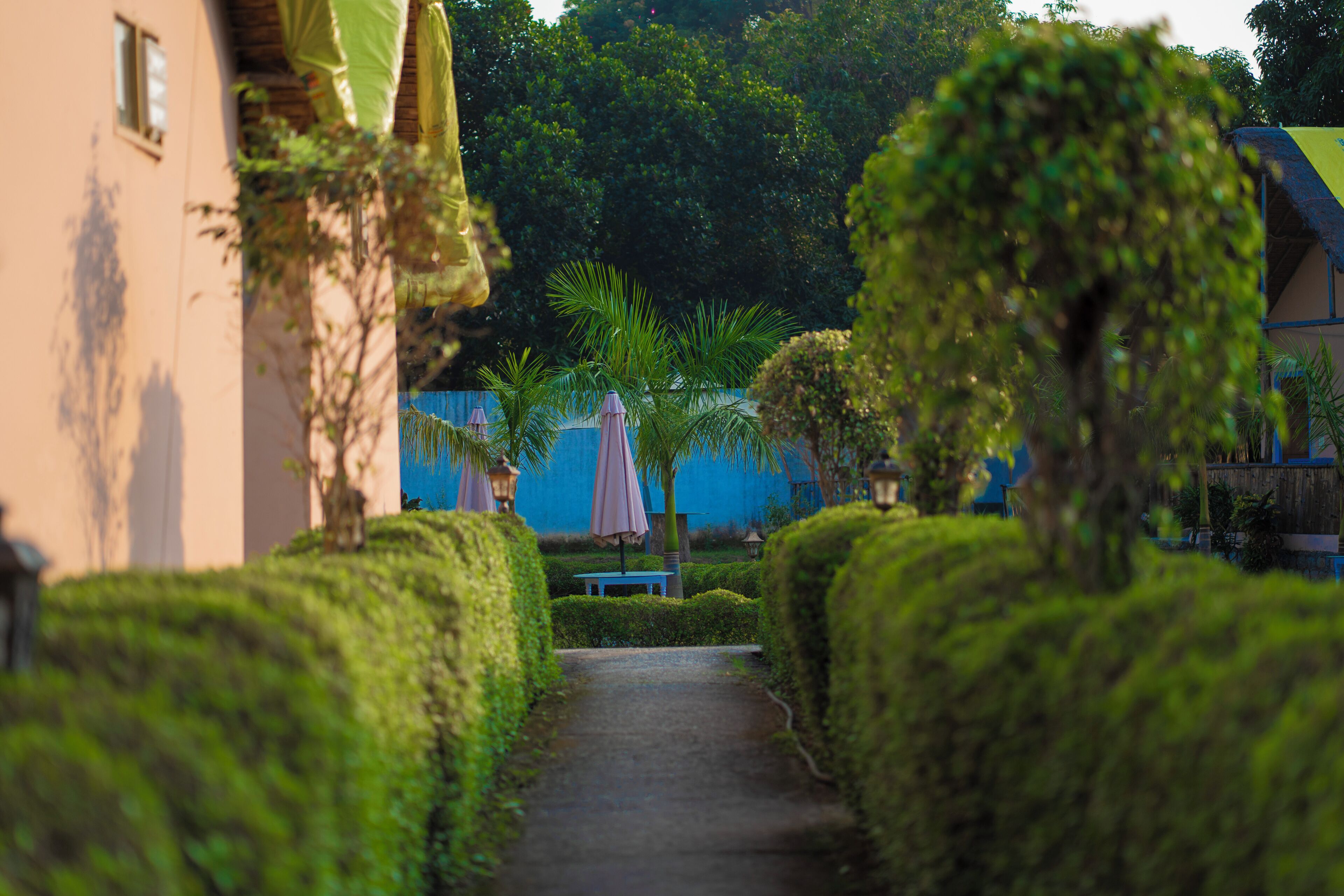Jardín