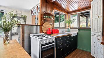 Frigorífico, microondas, horno y placa de cocina