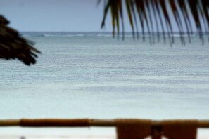 A beach view with a palm tree and a bamboo fence in the foreground. - AMANI BEACH VILLA (Bwejuu)