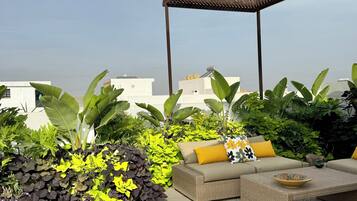 Terras