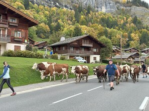 Exterior - Cristaux Alpine Living | Brand-New 4★ Ski-in/Ski-out, 70m², sleeps 6p., balcony (Le Grand-Bornand)