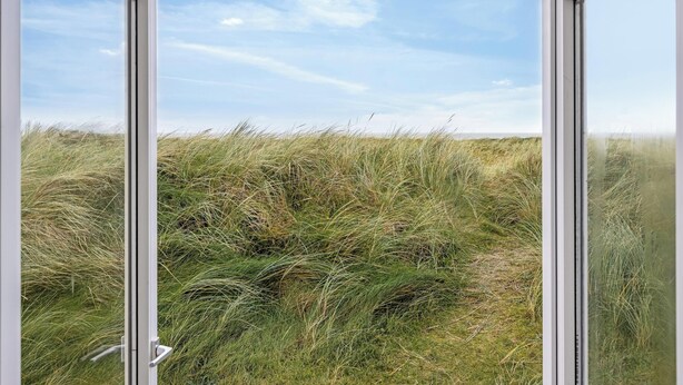 Blick durch ein Fenster auf einen klaren Himmel und hohes Gras.