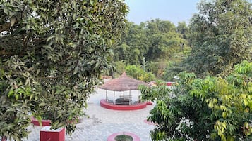 Economy Shared Dormitory, Garden View | Garden view