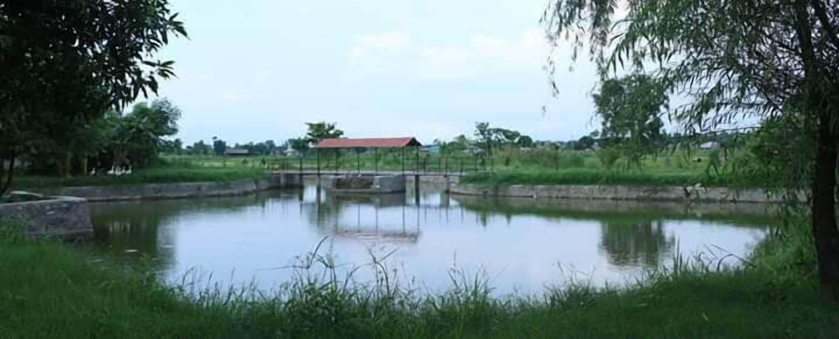 A tranquil pond with a small bridge, surrounded by lush greenery and a distant building with a red roof.