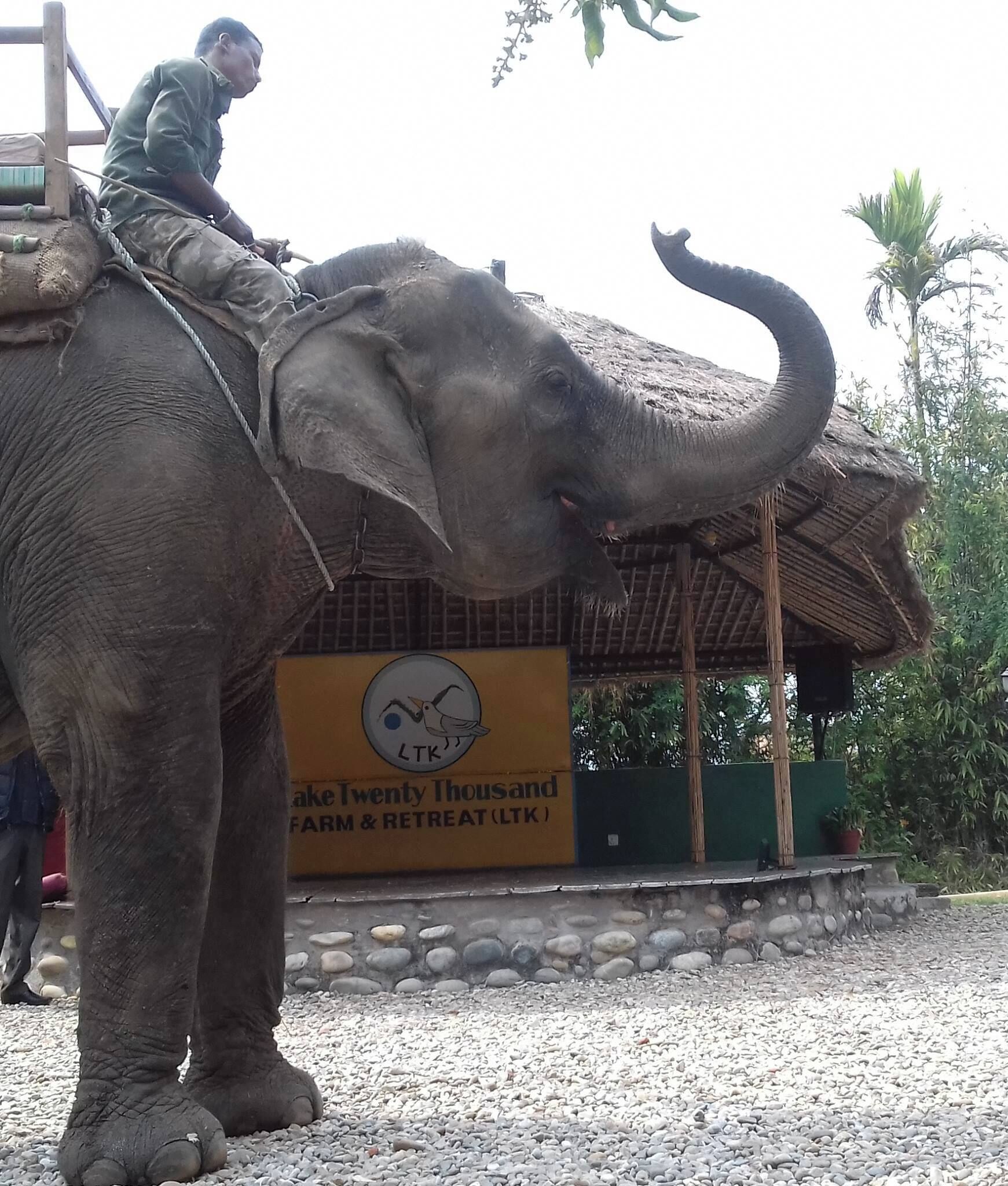 Un hombre montado en un elefante frente a un edificio con un letrero que dice "LTK Farm & Retreat".