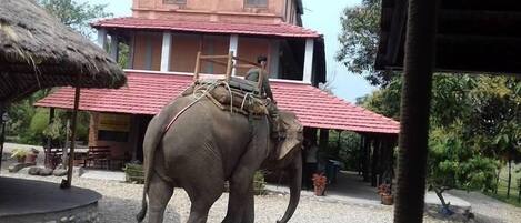 숙박 시설 정면