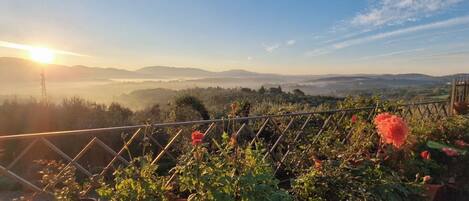 Utsikt fra overnattingsstedet