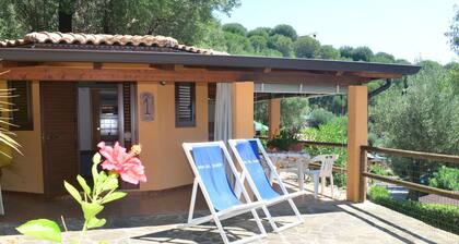 Chalet in Cilento With Sea View Pool