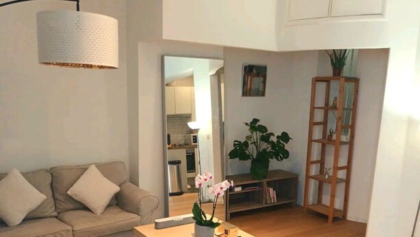 Un salon moderne avec un canapé, une table basse et une plante en pot.