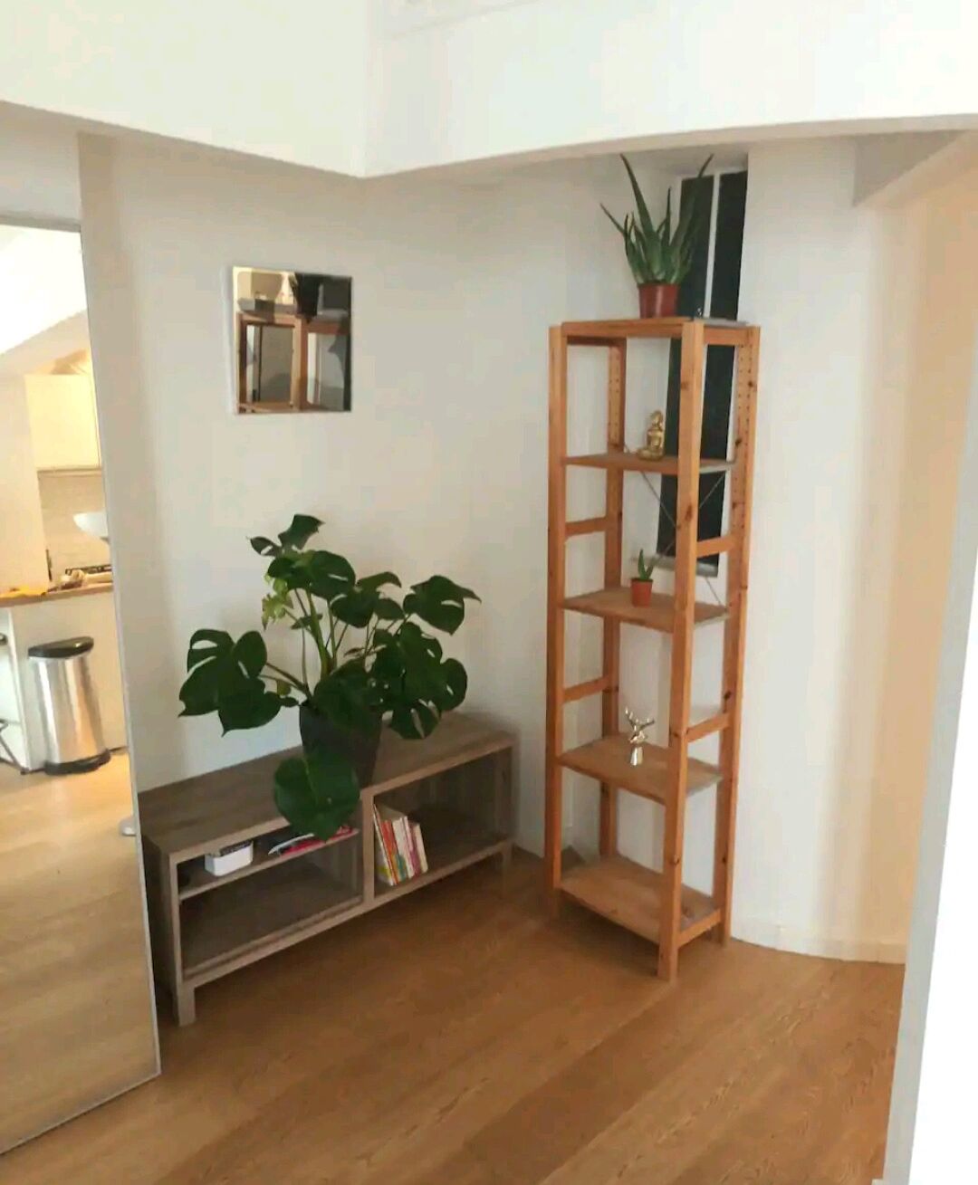 A corner room with a wooden floor, a bookshelf, a potted plant, and a small table.