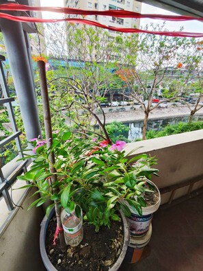Chambre Double Confort | Terrasse/Patio