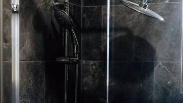 Shower, towels, toilet paper