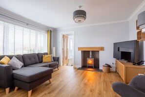 Smart TV, fireplace, DVD player