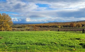 Imagen sin descripción, 5 de 11, botón