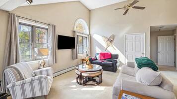 Télévision, cheminée, espaces bureaux