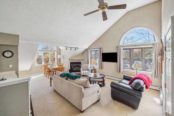 TV, fireplace, offices