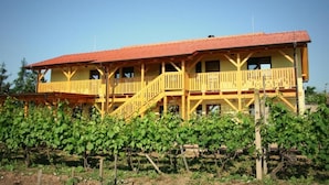 A yellow building with a red roof, surrounded by grapevines.