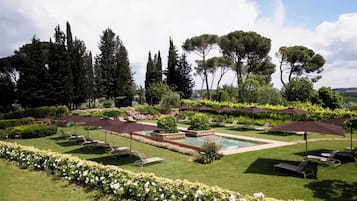 Outdoor pool, pool umbrellas, pool loungers