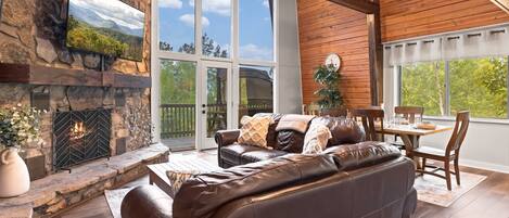 Télévision, cheminée, jeux vidéo, espaces bureaux