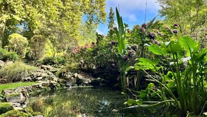 A serene garden with a pond, lush greenery, and a variety of plants.