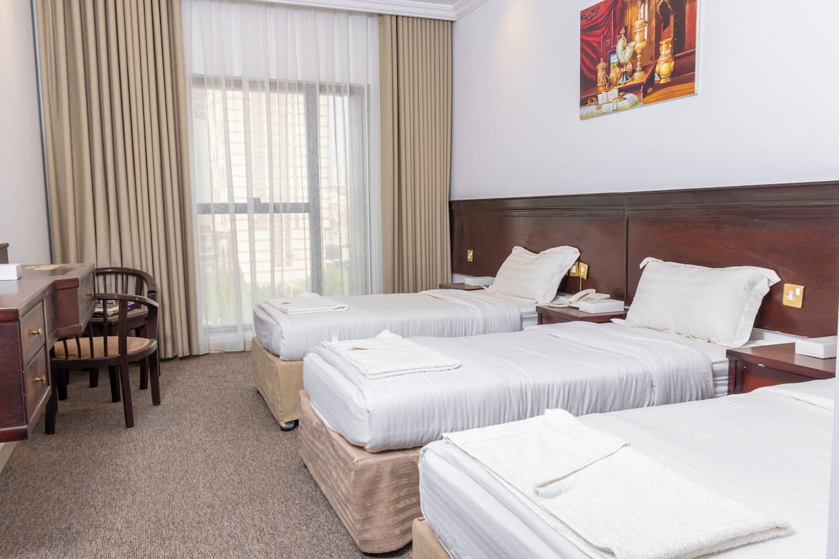 Basic Triple Room, City View | Minibar, free WiFi, bed sheets
