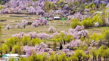 Vue sur la ville depuis lâhĂ©bergement